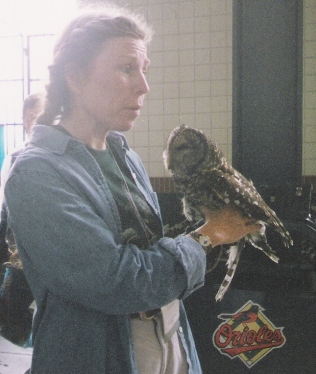 Spotted Owl