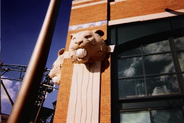 Tiger Light