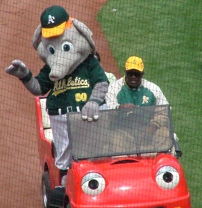 Elephant Mascot in Car