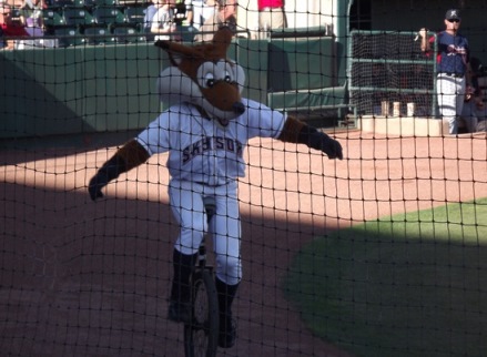 Sox Fox
