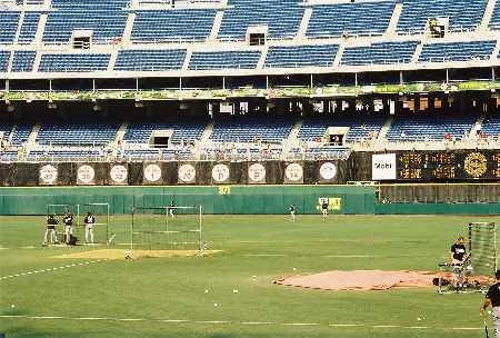 View of the field